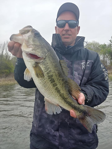 Finest Bass Caught In Lake Fork